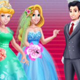 Princesses Bride Competition